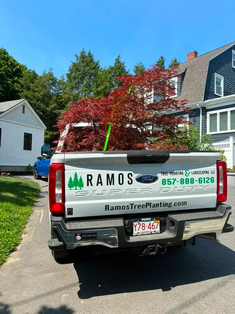 work photo from ramostreeplanting.com