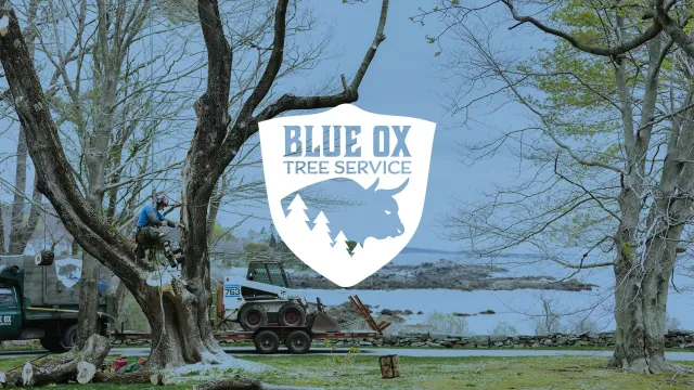 Website-banner-6.jpg