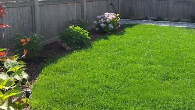 lawn care.jpeg