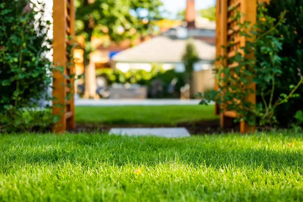 Landscape Maintenance for Pungitore Landscapes, Irrigation & Fertilizer in Hingham, MA