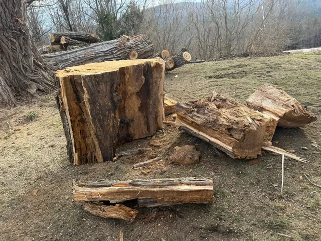 work photo from whitneytreeservice.com