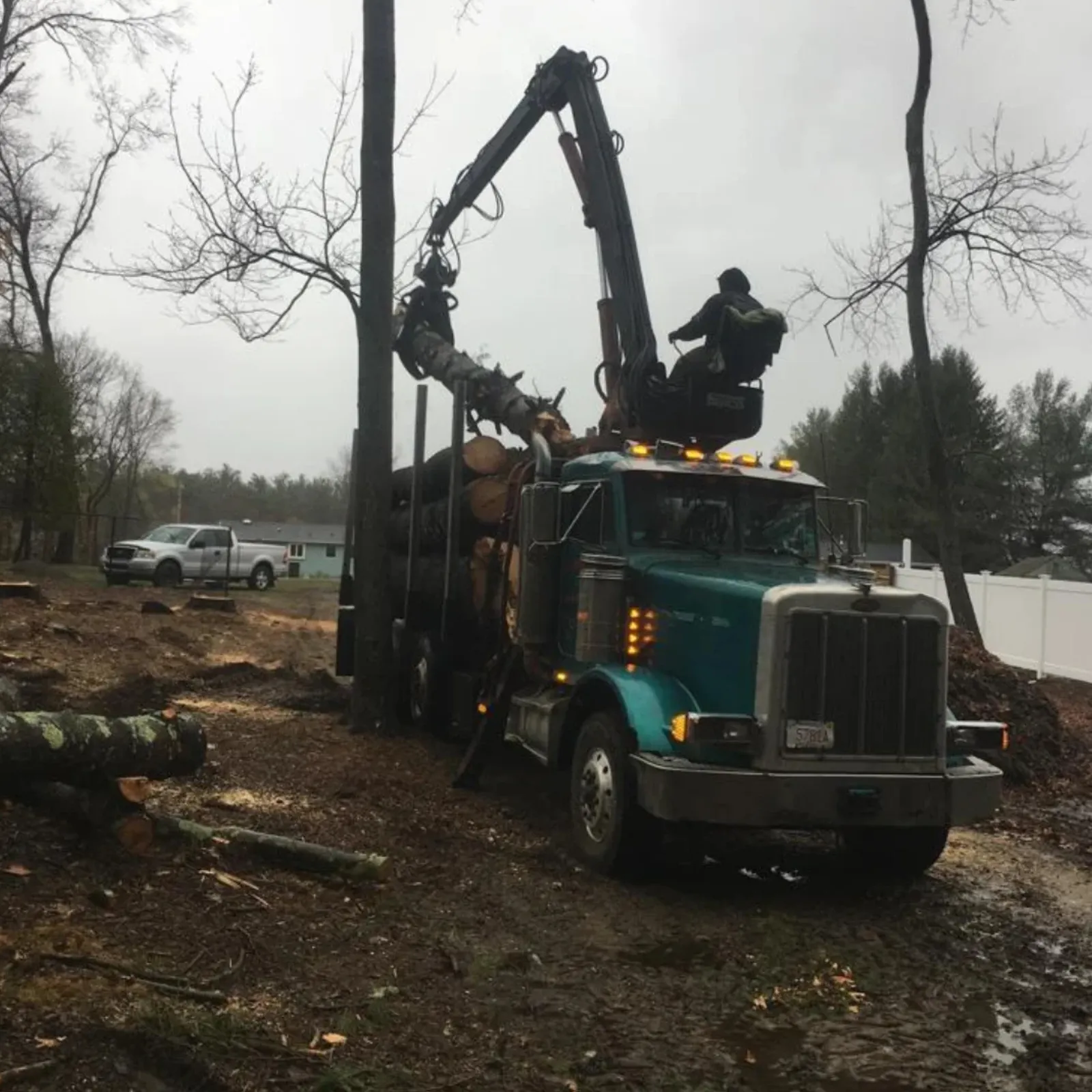 work photo from adams-tree.com
