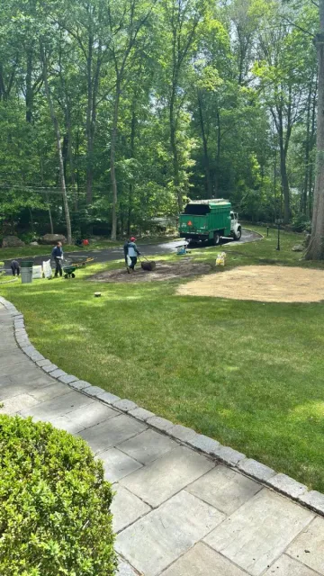 work photo from lifetreeservicesllc.com