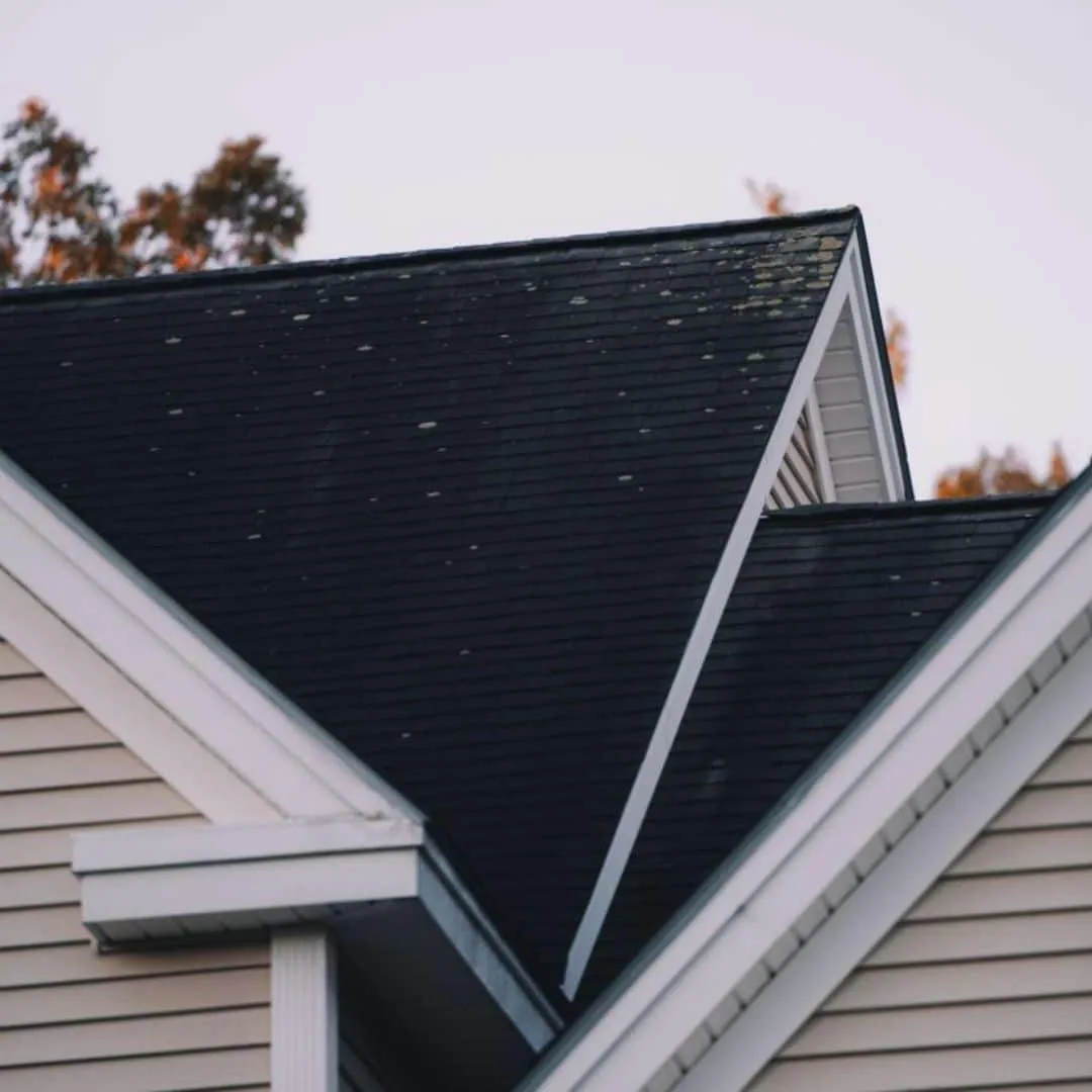 A close-up of a house roof with dark shingles, some visible discoloration, and beige siding, set against a light sky with a few tree branches in the background.