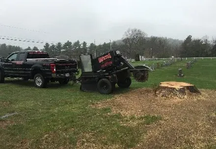 stump grinding in graveyard — Tree Stump Grinding in Lunenburg, MA