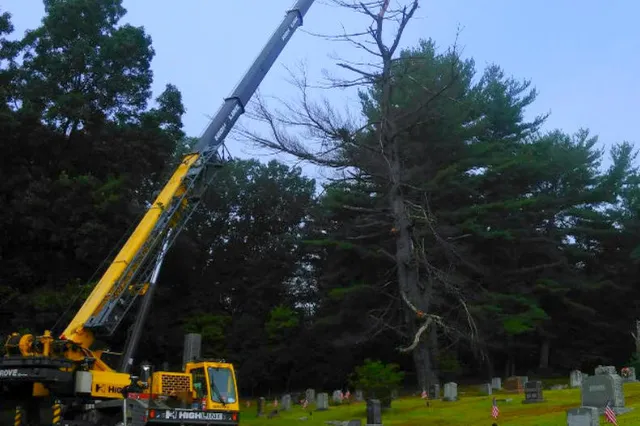 EA Lawn Care & Tree Service work photo
