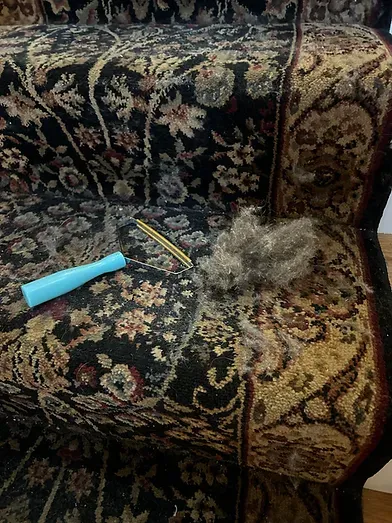 pet-cleaning.jpg