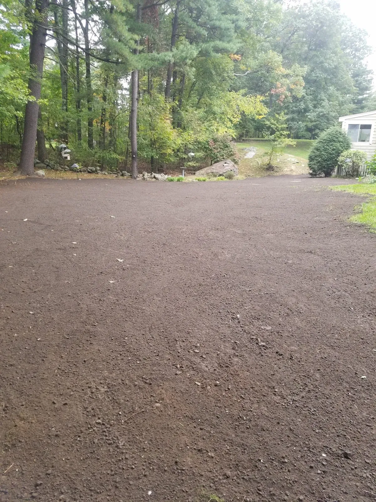 Gravel driveway beside a wooded campsite, with a small RV in the distance.