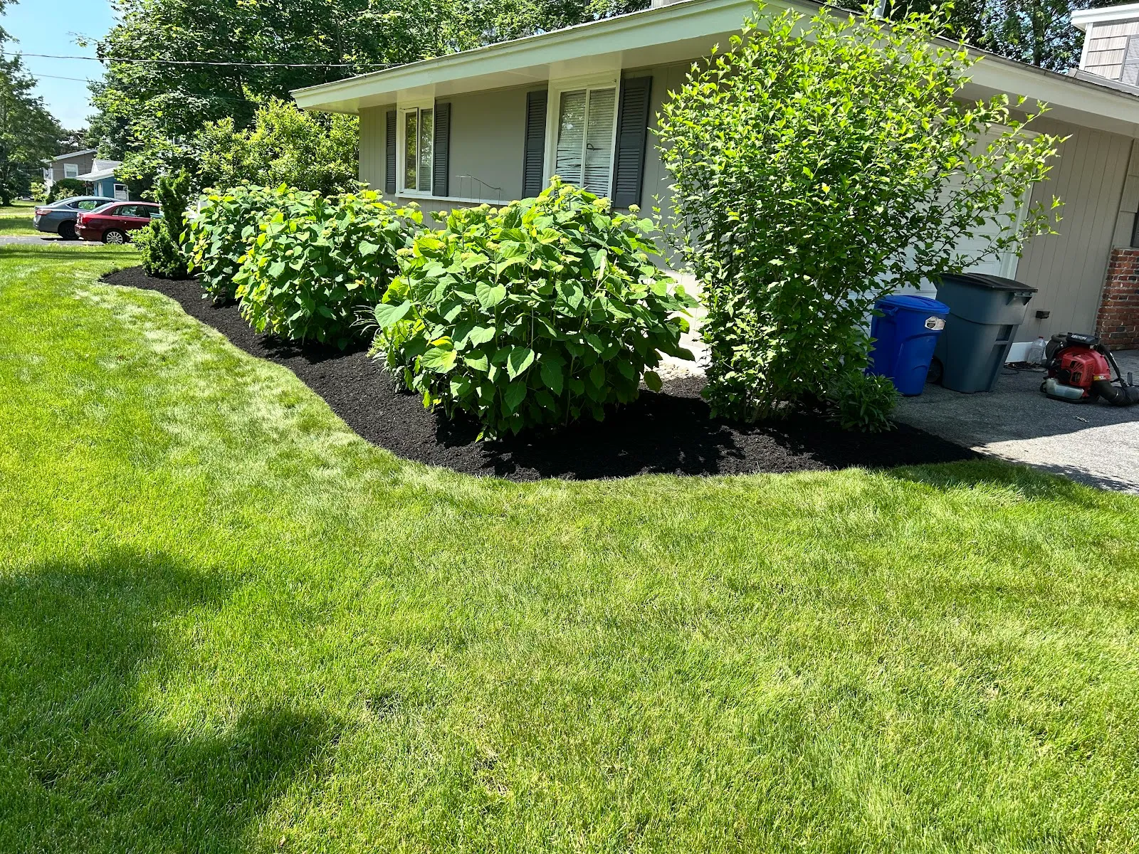 Xcel Landscape Design & Hardscape Inc.