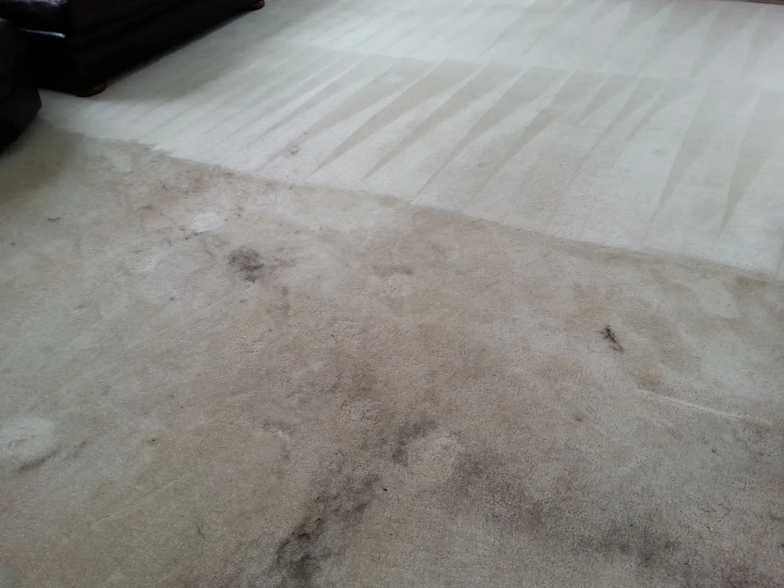 a living room with a dirty carpet and a couch