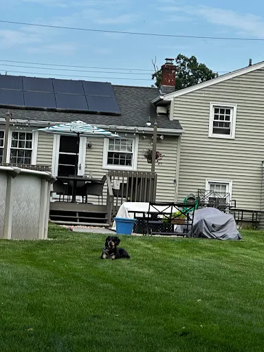 The Yard Pest Dr work photo