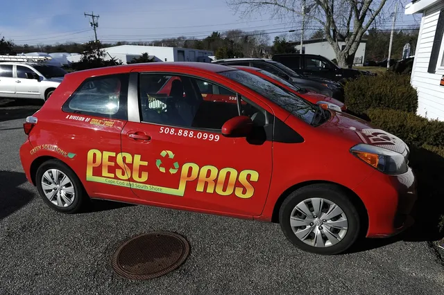 Cape Cod Pest Pros work photo