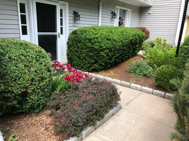Jayscape Lawn Maintencance Inc work photo