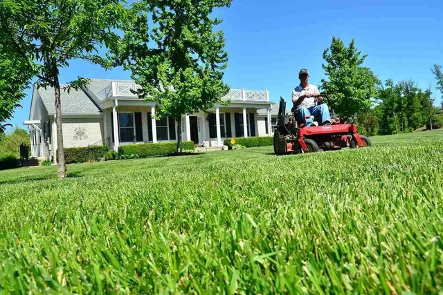 work photo from martinezlandscapepros.com