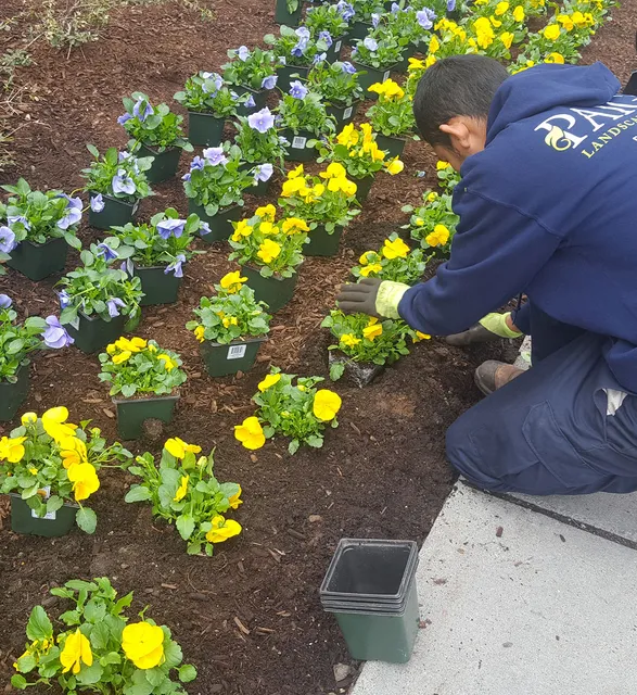 Paige Landscape Company work photo