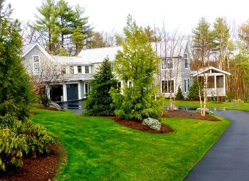 Front Yard Landscape
