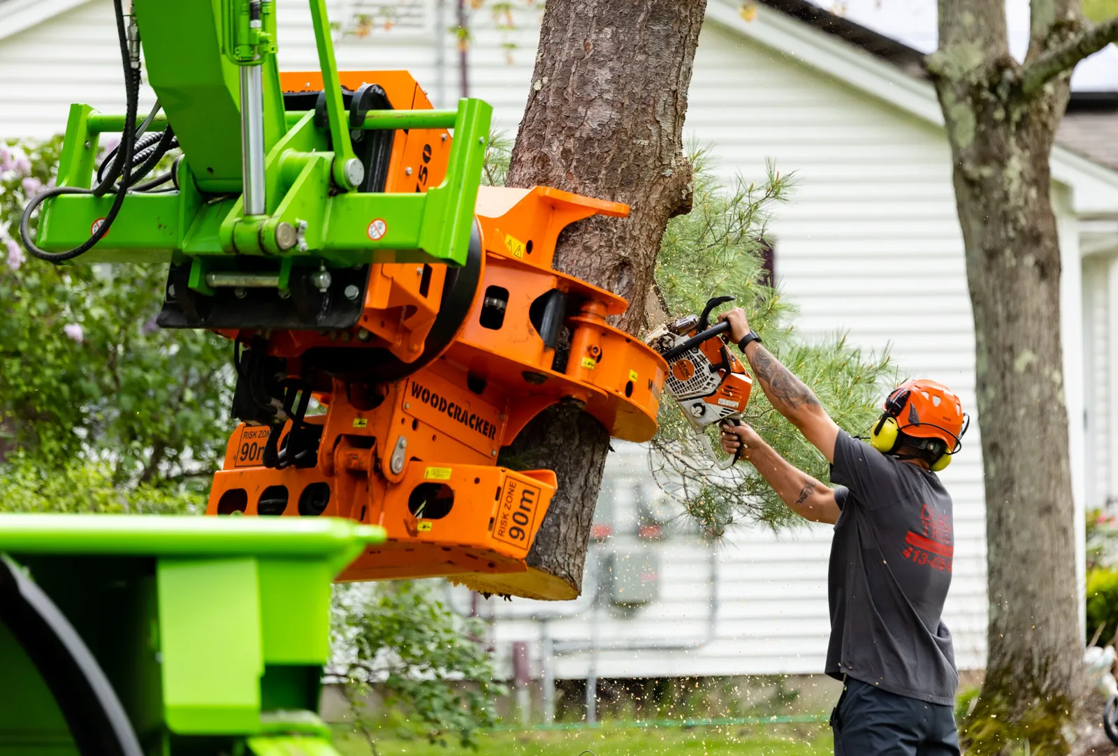 work photo from dlandgtree.com