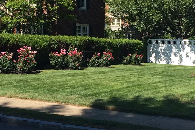 work photo from walsh-landscaping.com