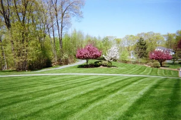 work photo from arbor-turf.com