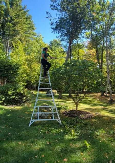 work photo from grownrighttreeandshrub.com