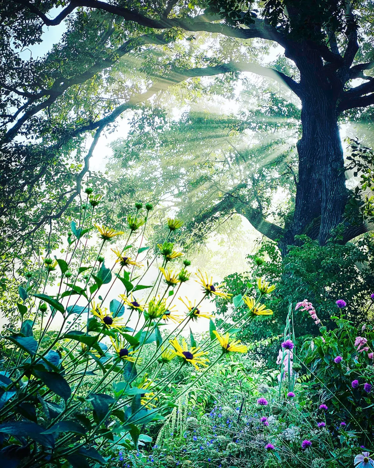 Avant Gardens, Inc