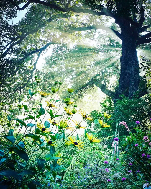 Avant Gardens, Inc