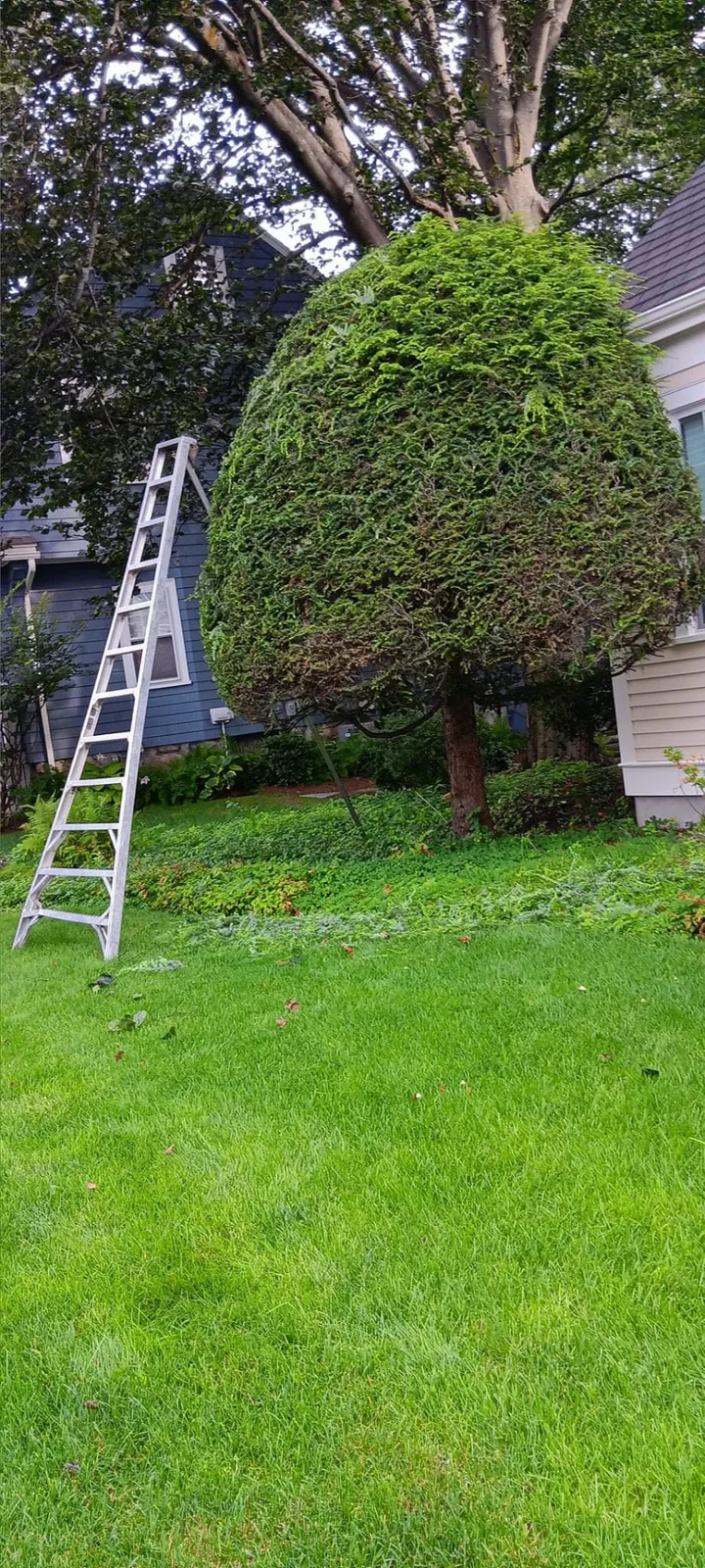 work photo from jkr-landscaping.com
