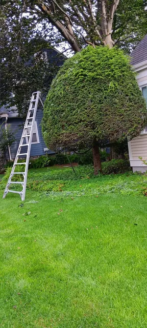 work photo from jkr-landscaping.com