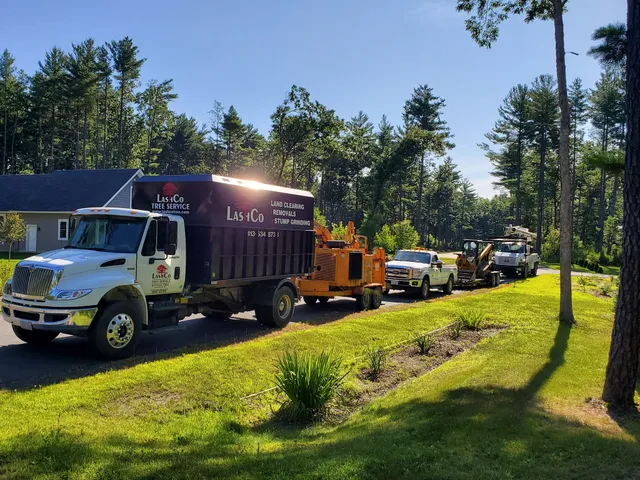 Lashco Tree Service LLC work photo