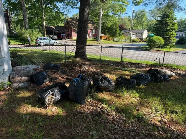 Bagged yard waste lined up along a fence after a cleanup