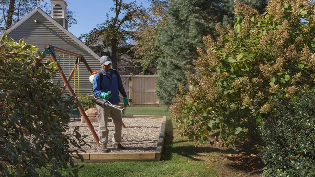 work photo from naturaltree.com