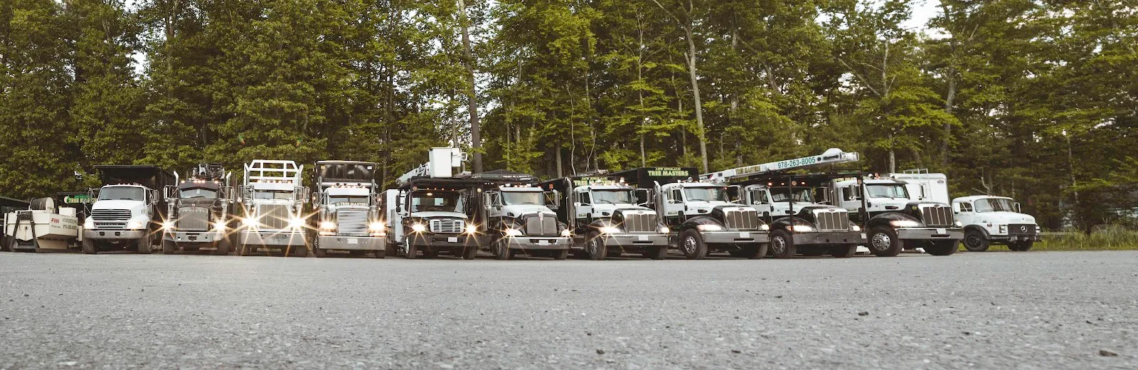 New England Tree Masters | Tree Service in Boxborough MA