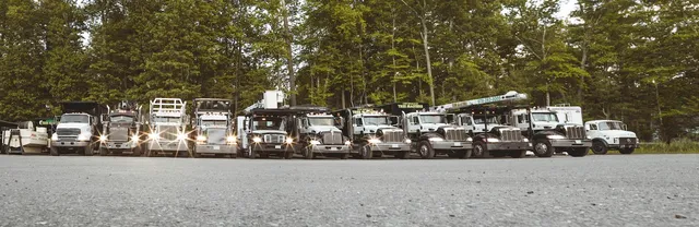 New England Tree Masters | Tree Service in Boxborough MA