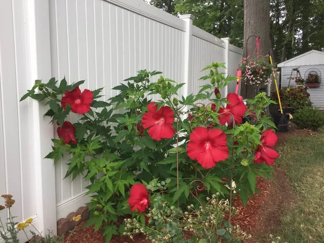 Master Link Fence work photo