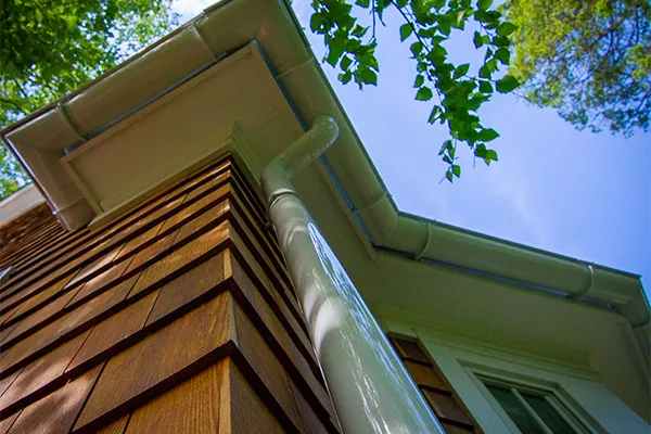 A little more about the team at Elite Gutters