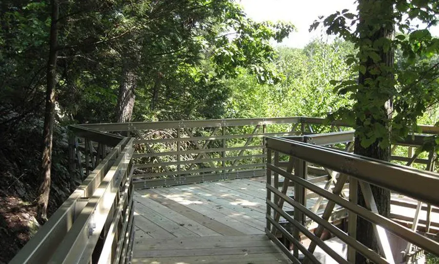 Wooden boardwalk with railings through a lush green forest overlook