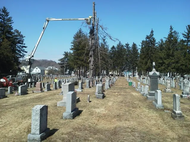 work photo from huntertreeservice.biz
