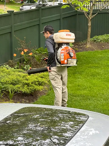 Mosquito Squad of North Shore work photo