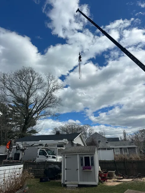 work photo from powellstreeservicellc.com