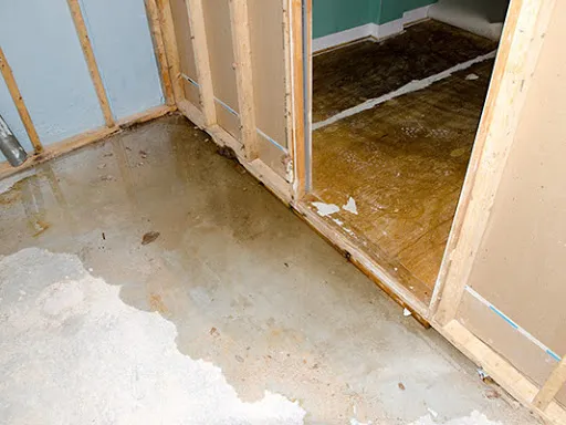 CW Water Damage Repair Co. work photo