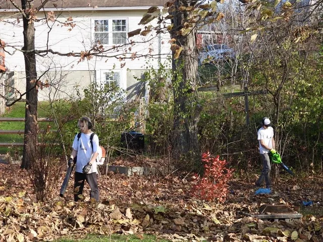 work photo from Google listing