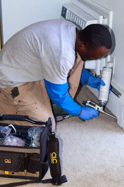 Labs Pest Control work photo