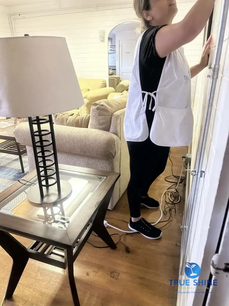 True Shine Cleaning Services