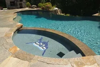 Commercial and Residential Pool Services