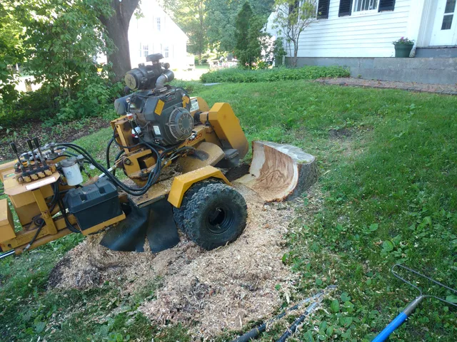 Coastal Stump Removal work photo