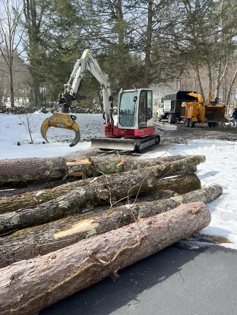 work photo from technicaltreeservice.com