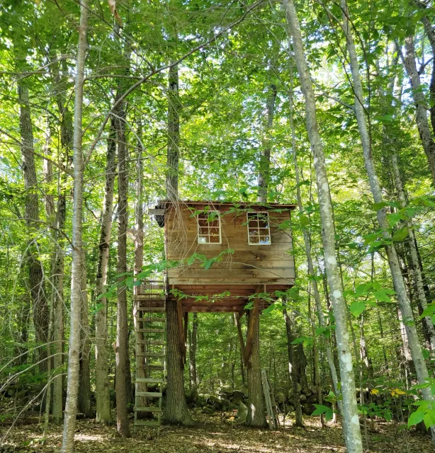 There is a tree house in the middle of the woods.