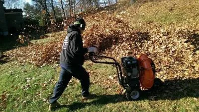 Fall Cleanup