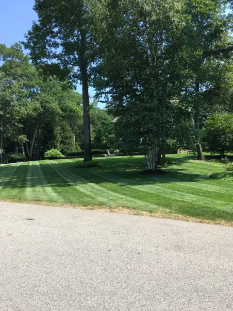 work photo from intheweedsturfcare.com