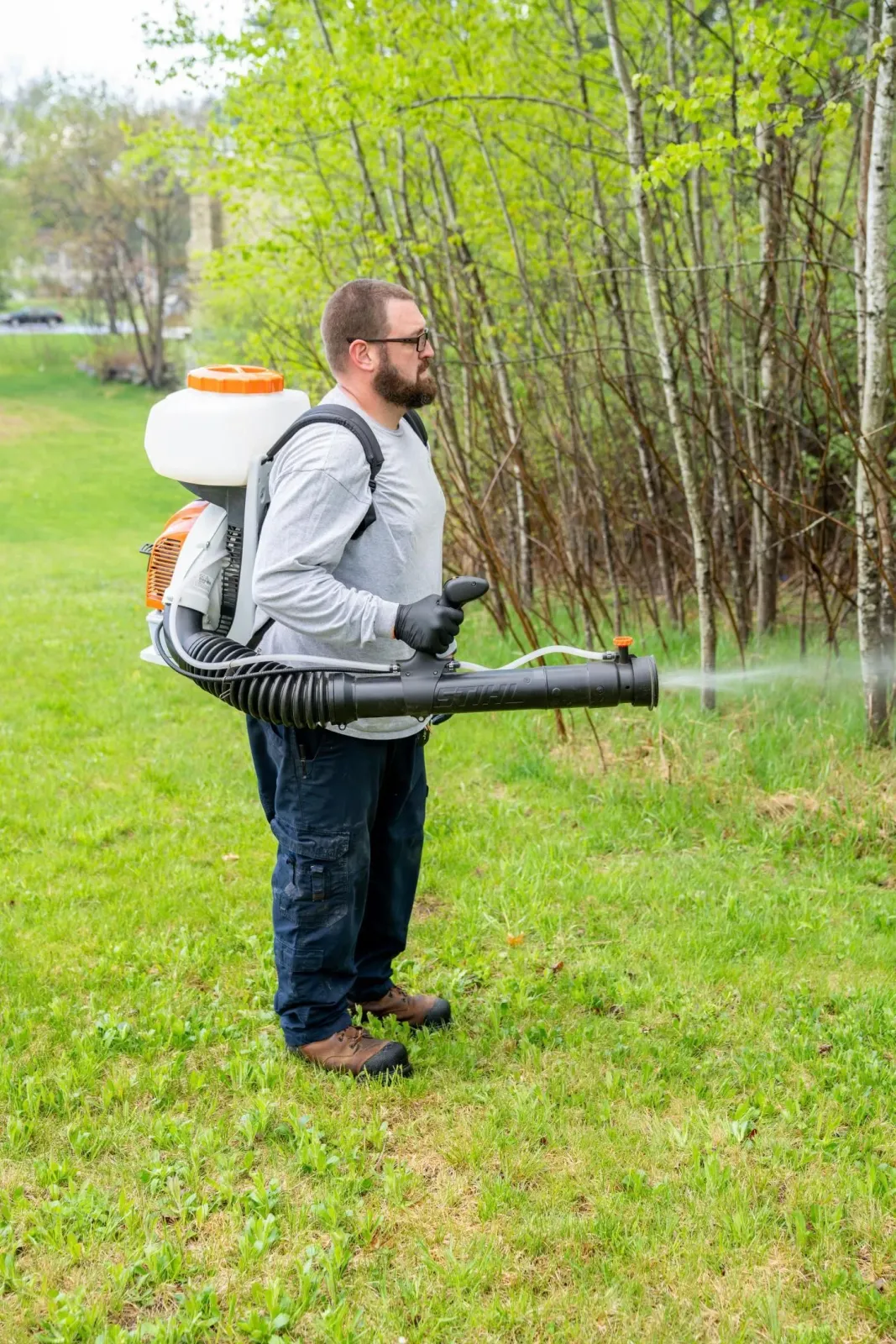 work photo from jensenspestcontrolnh.com